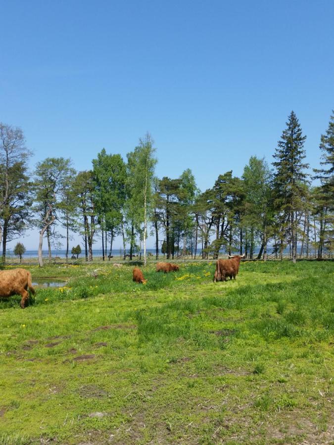 Ranna Villa Farm Kudema Esterno foto